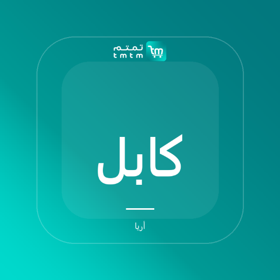 صورة كابل USB-C مجدول - 2 متر