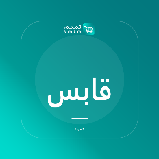 صورة قابس ذكي - قطعتان